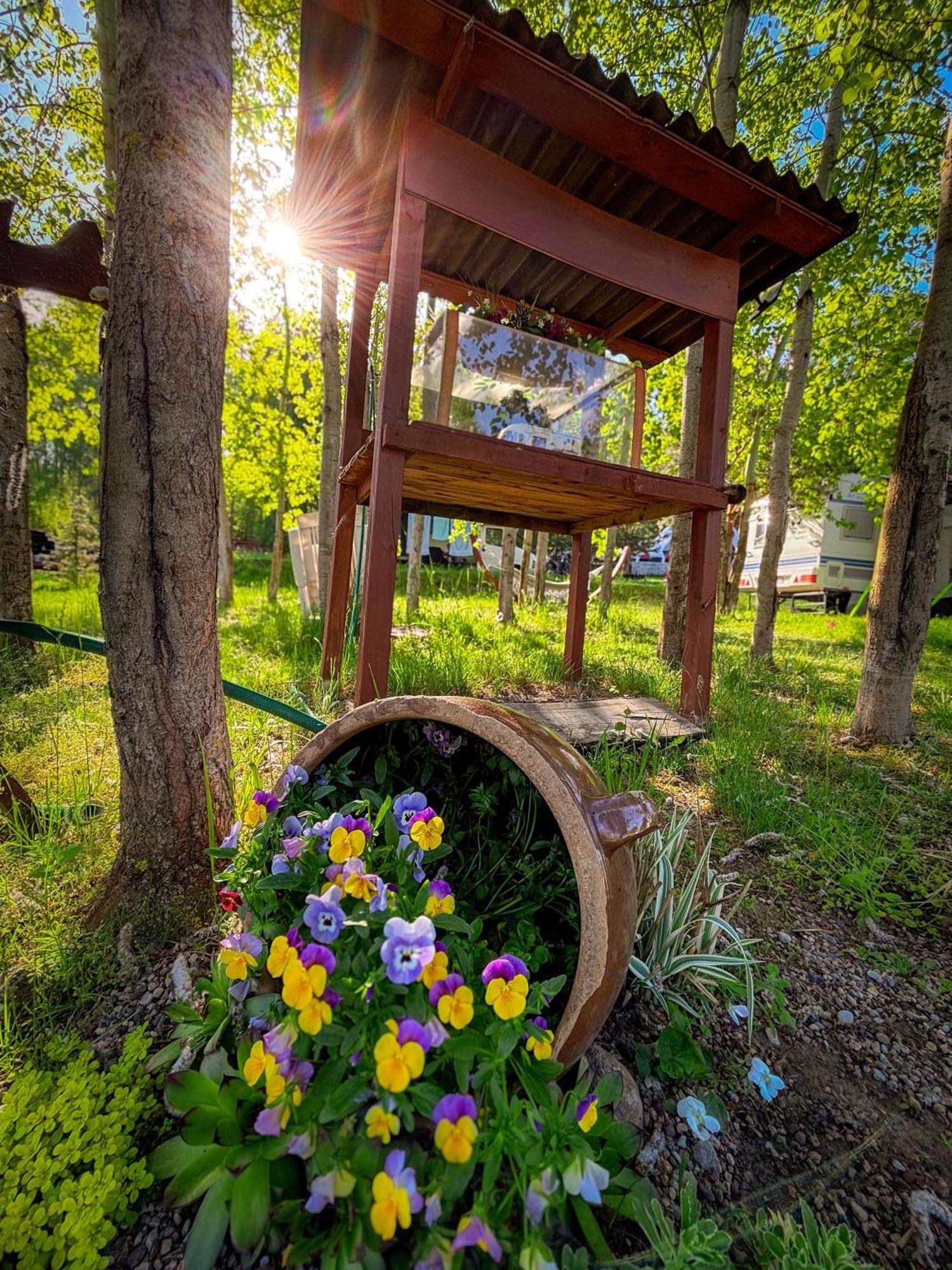 Отель Glamping Pod Orlem Cedynia Экстерьер фото